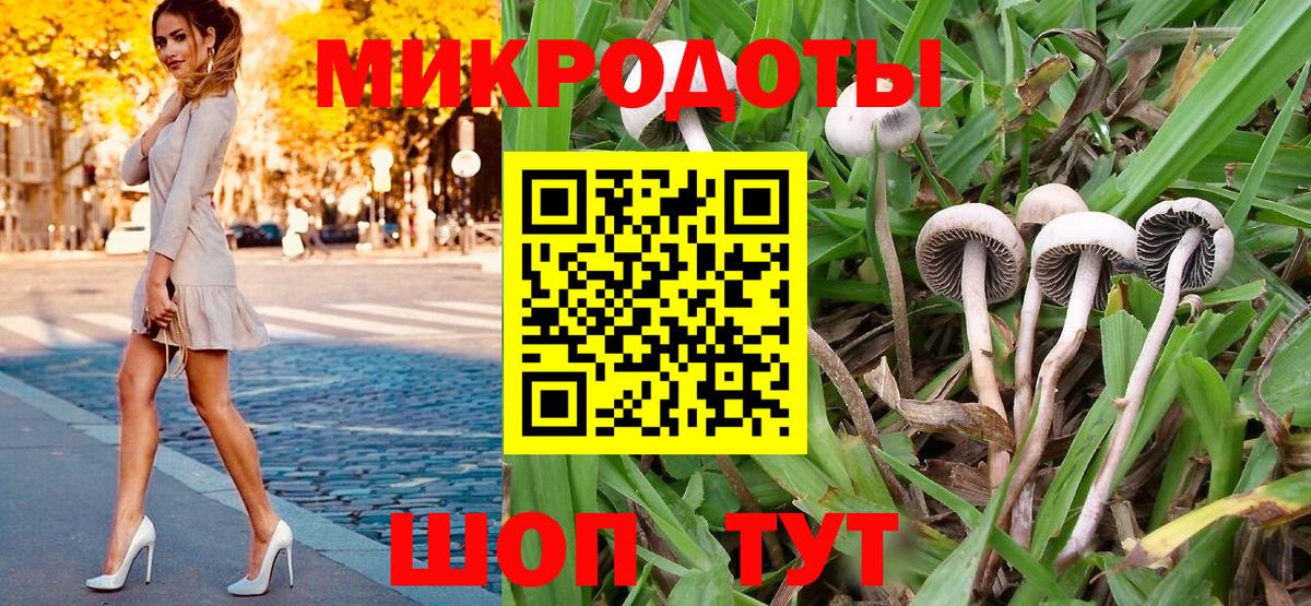 Галлюциногенные грибы прущие грибы Надым