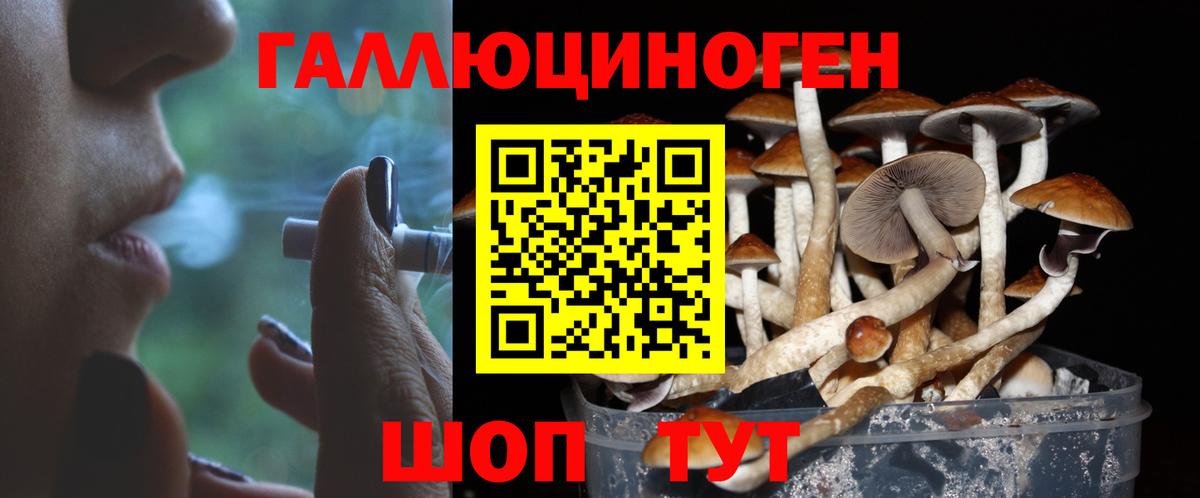 Псилоцибиновые грибы Cubensis  Вход с VPN  Надым 